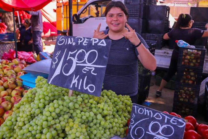 Choclo, uva, papa y tomate: revisa los principales productos que bajaron de precio en la última semana