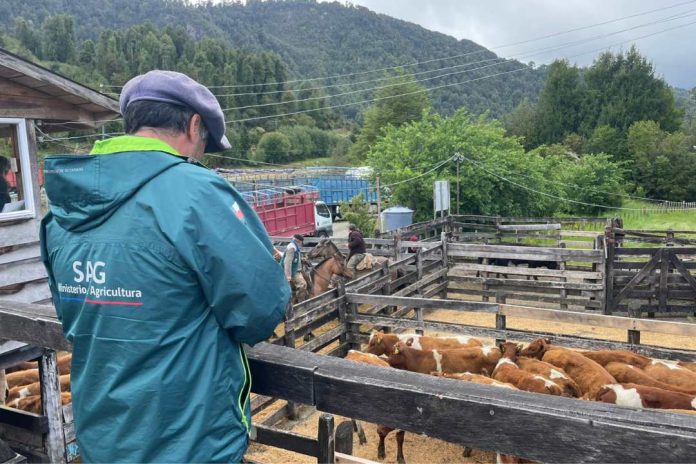 Declaración de Existencia Animal del SAG ahora podrá realizarse durante todo el año