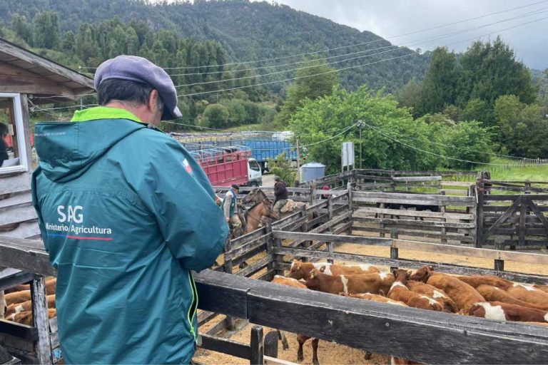 Declaración de Existencia Animal del SAG ahora podrá realizarse durante todo el año
