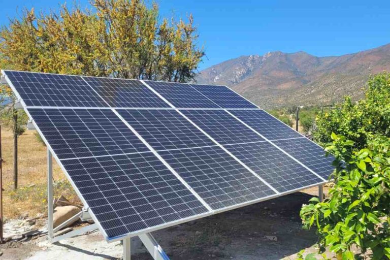 Hasta un 60% en cuentas de luz han ahorrado pequeños agricultores gracias a paneles fotovoltaicos