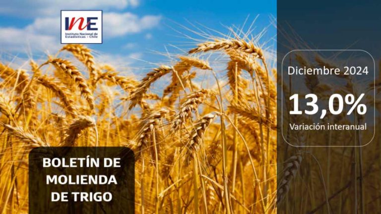 INE Biobío publica cifras de molienda de trigo correspondiente a diciembre de 2024