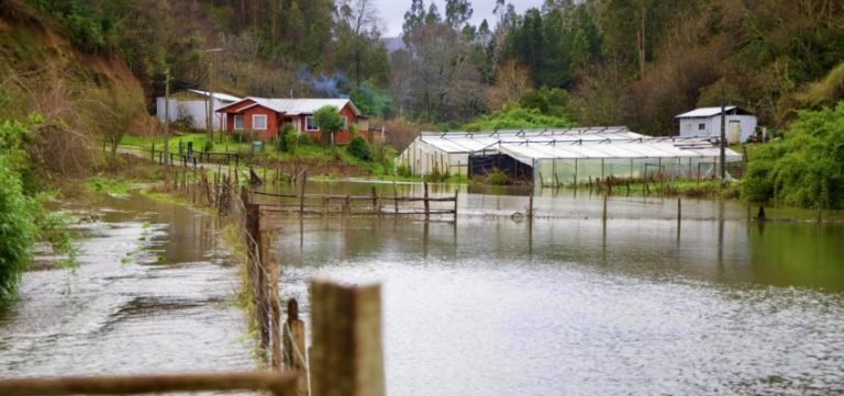 INDAP hace un llamado para que agricultores con seguros agropecuarios hagan los denuncios cuando correspondan