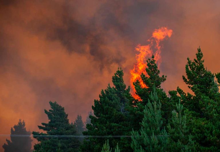 CONAF activa plan de contingencia por Año Nuevo para prevenir incendios forestales