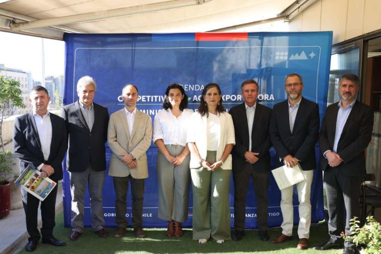 Apertura de mercado: Frutas chilenas comenzarán a exportarse a Indonesia