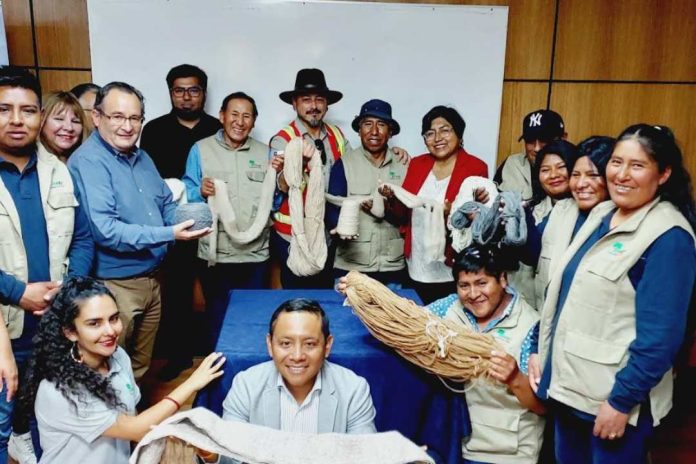 Ganaderas y ganaderos de General Lagos recuperan planta de procesamiento de fibra de alpaca de Visviri con apoyo de CONAF