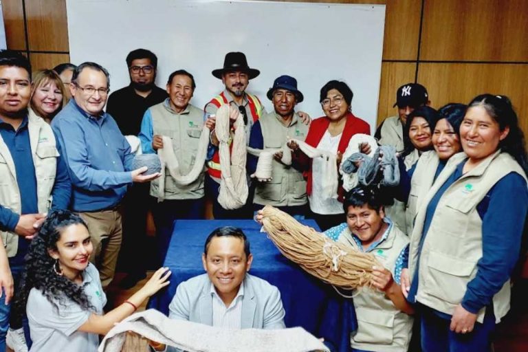 Ganaderas y ganaderos de General Lagos recuperan planta de procesamiento de fibra de alpaca de Visviri con apoyo de CONAF