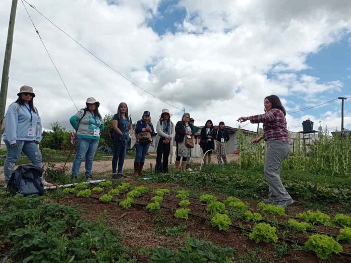 Ministerios de Agricultura y de la Mujer y la Equidad de Género relevan inédito curso online dirigido a mujeres profesionales del sector agrícola