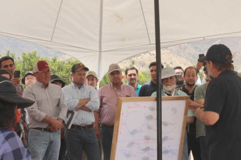 Ajuste de pulverizadores reduce hasta un 40% el uso de agroquímicos