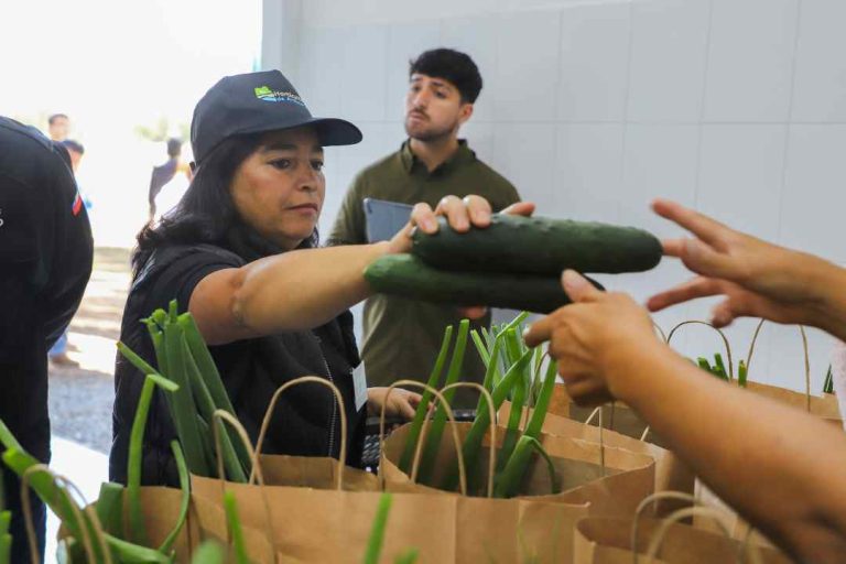 Con apoyo de INDAP: mujeres rurales del Biobío avanzan en autonomía y liderazgo 