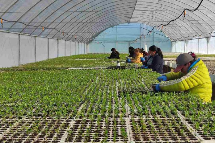 Empresas sostenibles podrán acceder hasta $60 millones para potenciar su crecimiento y adaptación climática