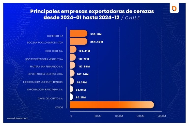 Datasur Informa: Exportadores Chilenos de Cerezas celebran los números de 2024, de la mano de China su principal comprador internacional