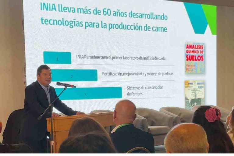 Expositor de INIA: “La Región de Los Lagos tiene todo para convertirse en una potencia de ganadería sostenible”