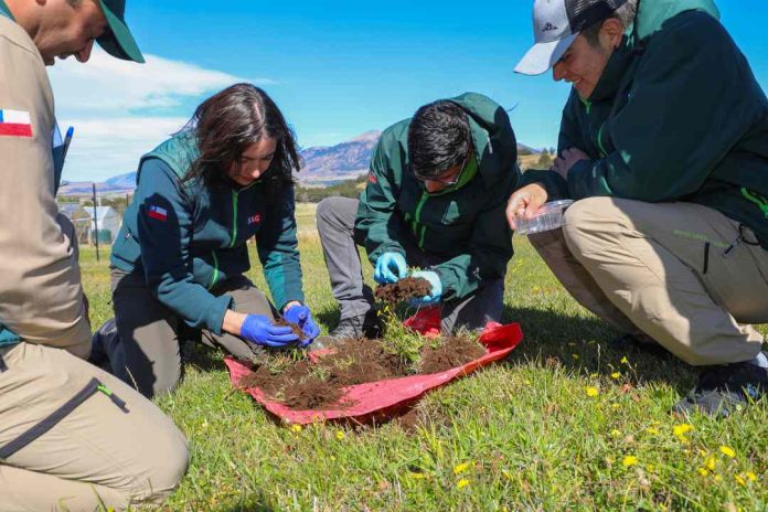 INIA profundiza conocimientos en plagas insectiles de praderas junto a profesionales, técnicos y estudiantes