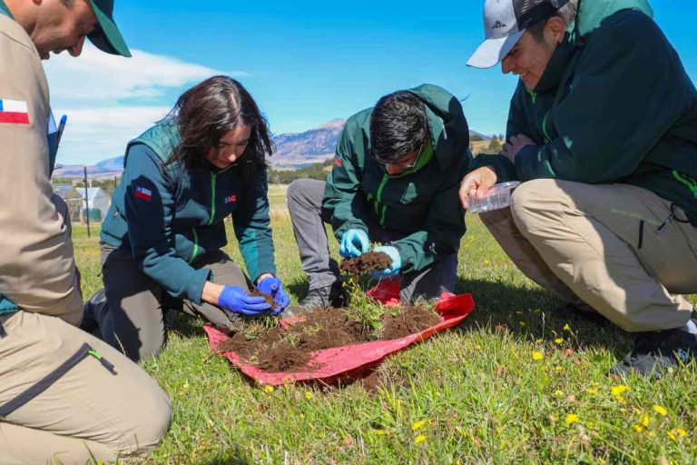 INIA profundiza conocimientos en plagas insectiles de praderas junto a profesionales, técnicos y estudiantes