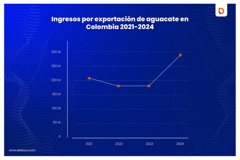 Datasur informa: Importante crecimiento de las exportaciones de aguacate de Latinoamérica en 2024, por aumento de compradores internacionales