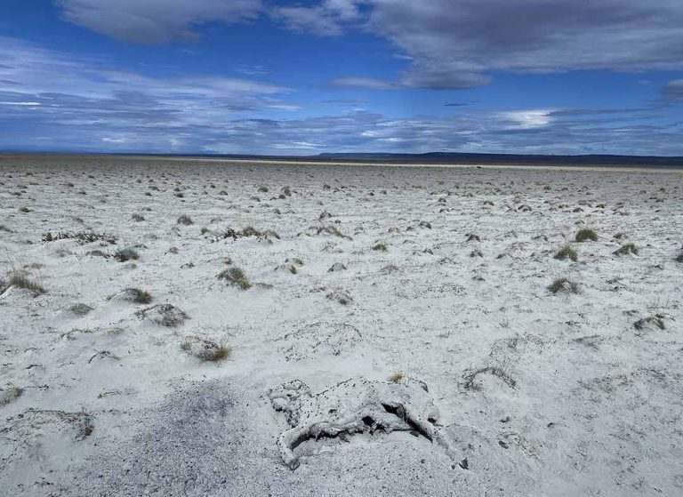 La ciencia y la comunidad intentan revivir un ecosistema en crisis en Laguna Blanca
