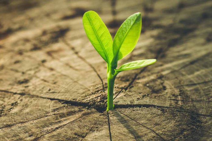 MERCO ESG | Nestlé Chile entre las 5 empresas que lideran en responsabilidad ambiental, social y de gobierno corporativo