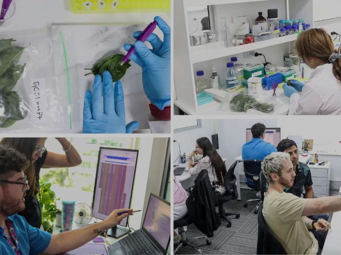 Evento de Cierre del Programa Fitosanidad de Multiplex con su Plataforma Viroscope