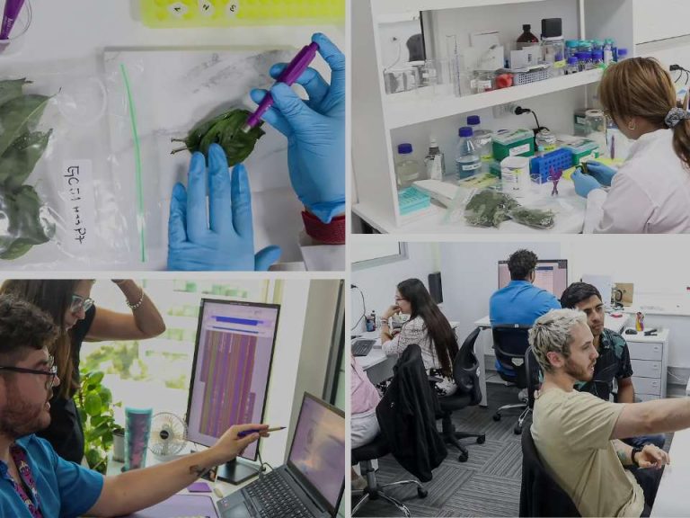 Evento de Cierre del Programa Fitosanidad de Multiplex con su Plataforma Viroscope
