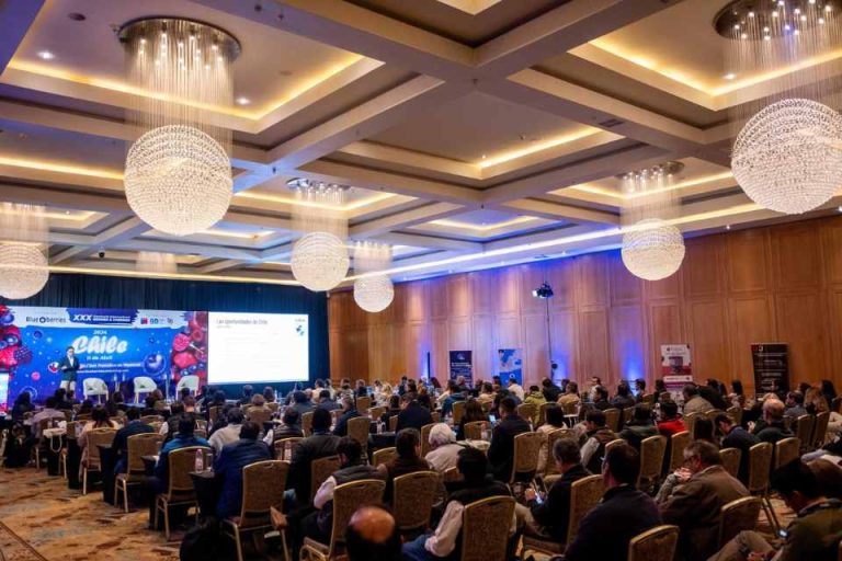 XXXV Seminario Internacional Blueberries Chile 2025