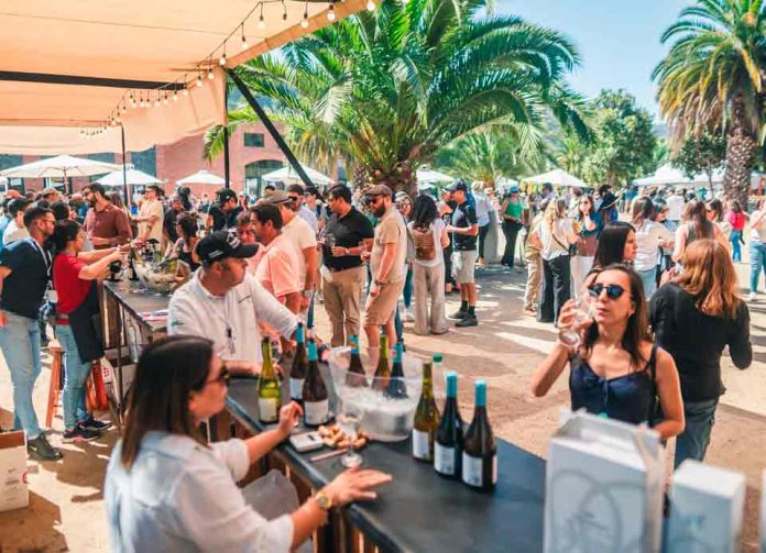 V Versión de la Fiesta Vitivinícola del Valle de San Antonio: La Primera Vendimia de la Región de Valparaíso 2025