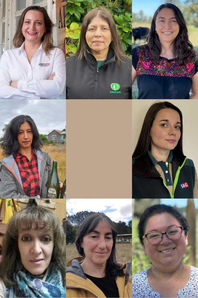 Ministerio de Agricultura reconocerá a 9 mujeres destacadas del agro en la región de Los Lagos