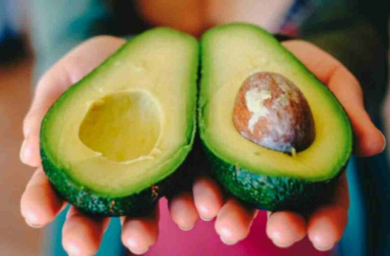 30 años de investigación respaldan la seguridad de los alimentos transgénicos 