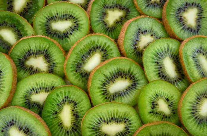 Acuerdo entre SAG y SENASICA impulsa exportaciones de kiwi chileno a México