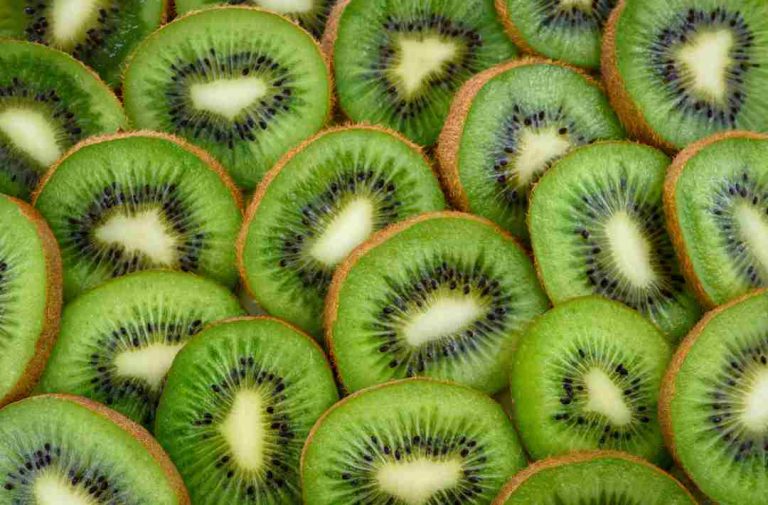 Acuerdo entre SAG y SENASICA impulsa exportaciones de kiwi chileno a México