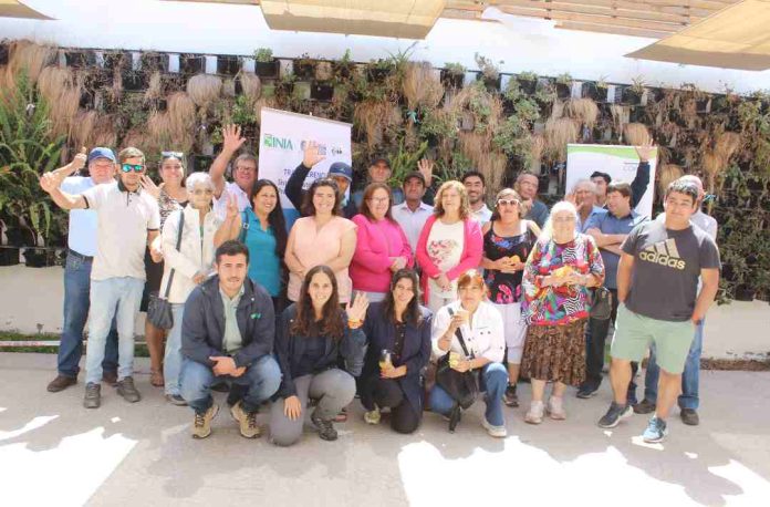 Agricultores se capacitan para optimizar el rendimiento de sus paneles fotovoltaicos 