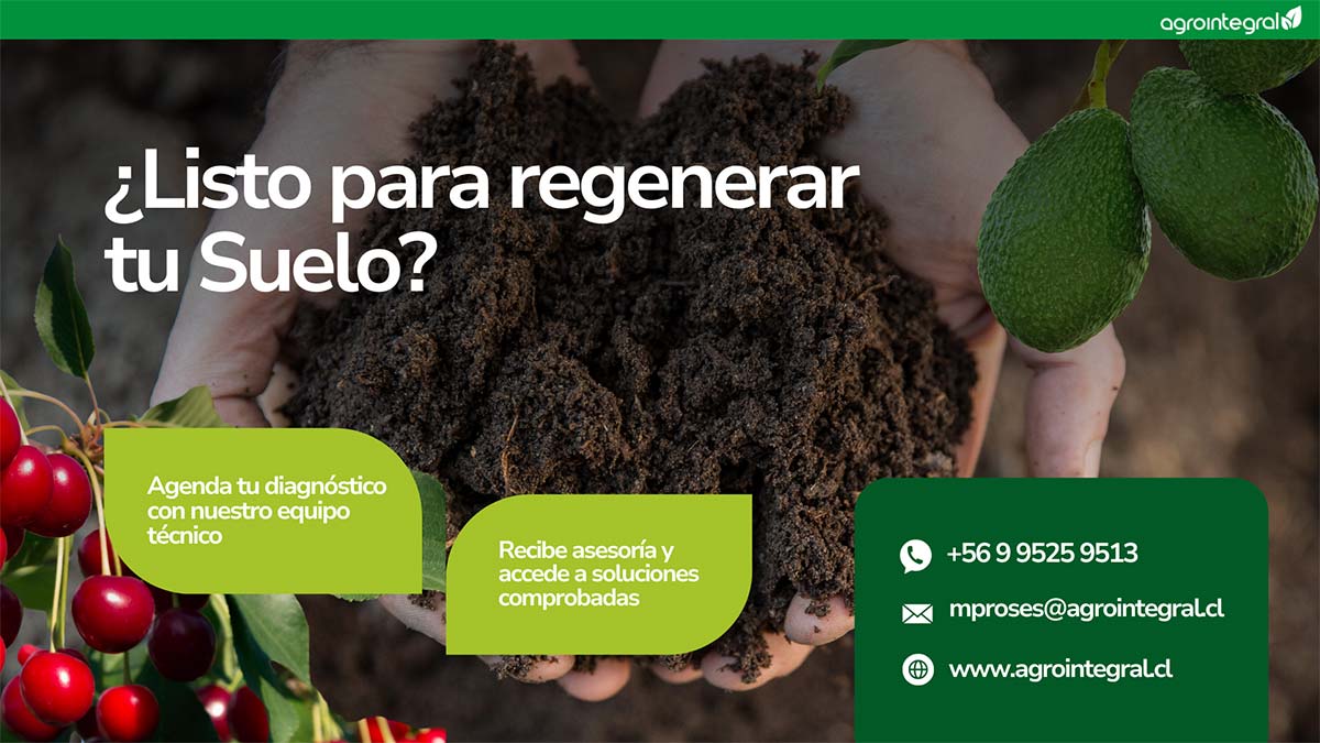 Agrointegral lanza nuevo sitio web para acercar la ciencia agronómica al agricultor chileno