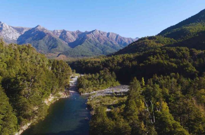 Alto Las Loicas y Valle Los Robles se unen a los terrenos ecológicos protegidos que abarcan hasta un 22% en Chile 