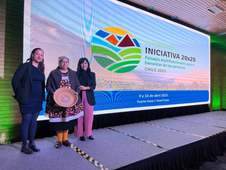 Chile y restauración ecológica