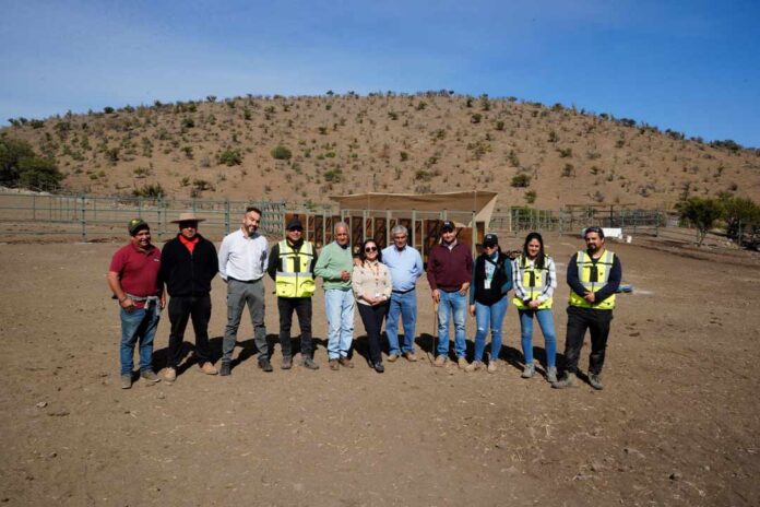 Codelco Andina apoya a los arrieros de Chacabuco con obras que fortalecen sus tradiciones