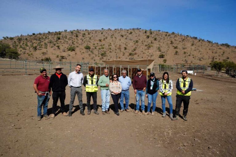 Codelco Andina apoya a los arrieros de Chacabuco con obras que fortalecen sus tradiciones
