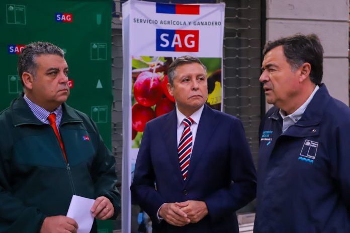 Ministerio de Agricultura junto al SAG advierten sobre sitios web falsos que cobran por trámite gratuito de la Declaración Jurada de ingreso a Chile