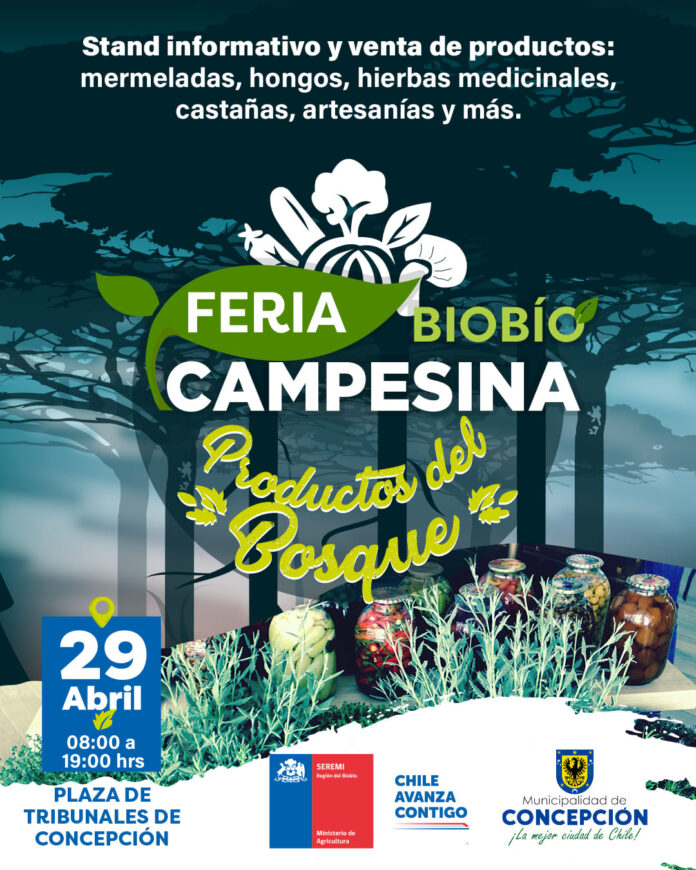 Desarrollarán feria campesina con temática relacionada a productos del bosque en Biobío (1)