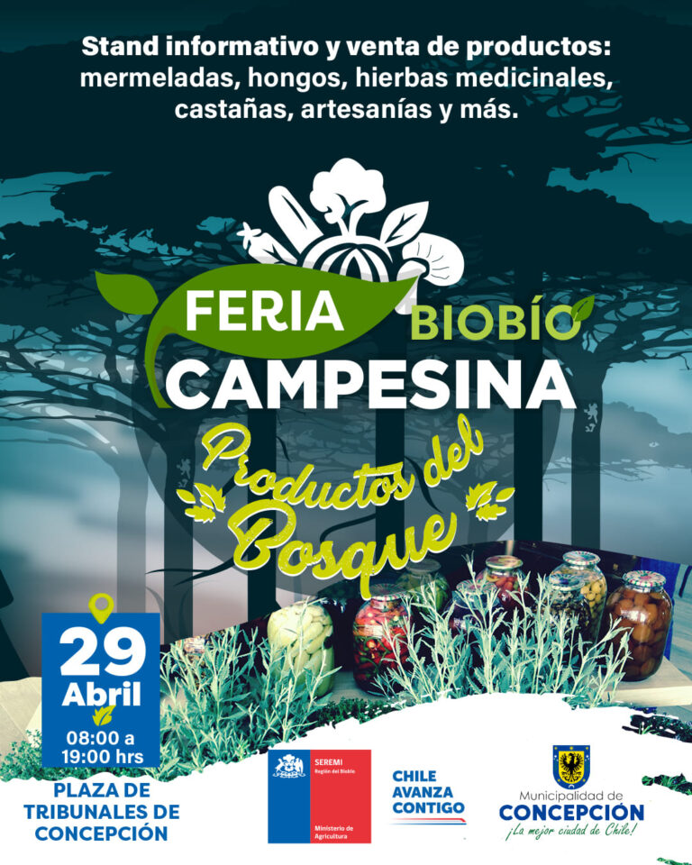 Desarrollarán feria campesina con temática relacionada a productos del bosque en Biobío (1)