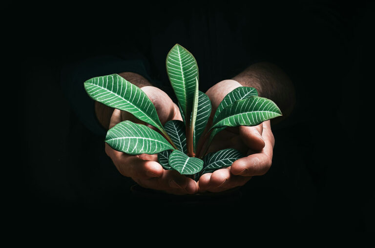 ¿Dónde está el valor estratégico de contar con políticas ESG en las empresas?