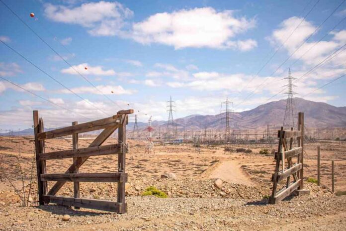 El desierto florido en riesgo por la contaminación en el valle del Huasco