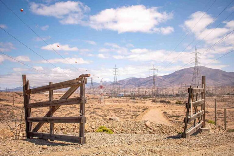 El desierto florido en riesgo por la contaminación en el valle del Huasco