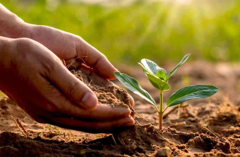 Expertos advierten urgente necesidad de cambiar el paradigma en torno al suelo agrícola en la Región de Valparaíso