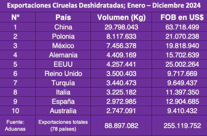 Exportaciones de ciruelas deshidratadas chilena en 2024: US$ 255 millones