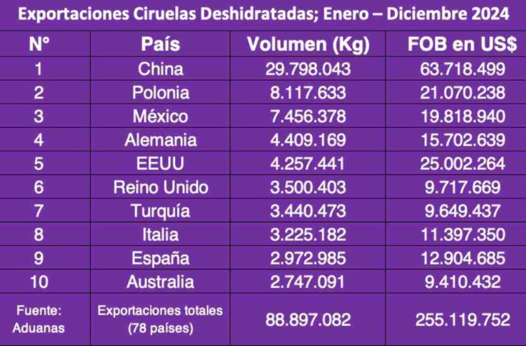 Exportaciones de ciruelas deshidratadas chilena en 2024: US$ 255 millones