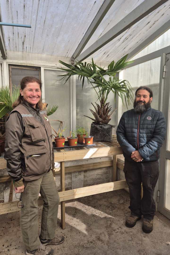 Investigadores USM donan plantas en estado vulnerable de conservación al Jardín Botánico de Viña del Mar