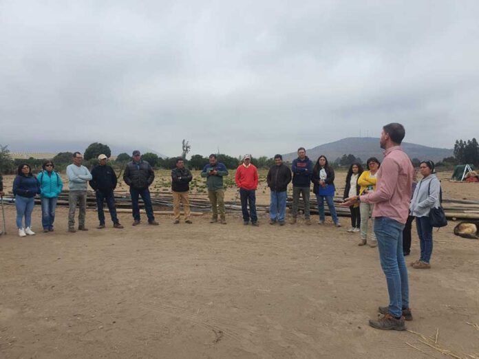 Pequeños productores visitan Proyecto Piloto de Desalinización de Aguas para la Agricultura con el fin de conocer soluciones innovadoras ante la escasez hídrica