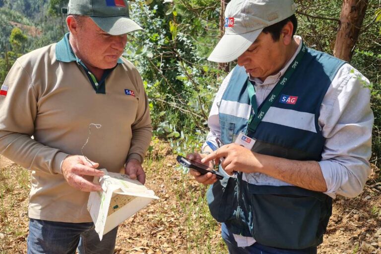 digitalización de vigilancia fitosanitaria forestal