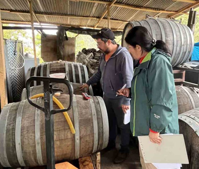 SAG fiscaliza bodegas de vinos y mostos en Biobío
