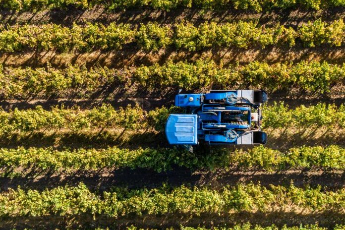 Soluciones de IoT para agricultores monitorear condiciones ambientales y anticipar riesgos potenciales
