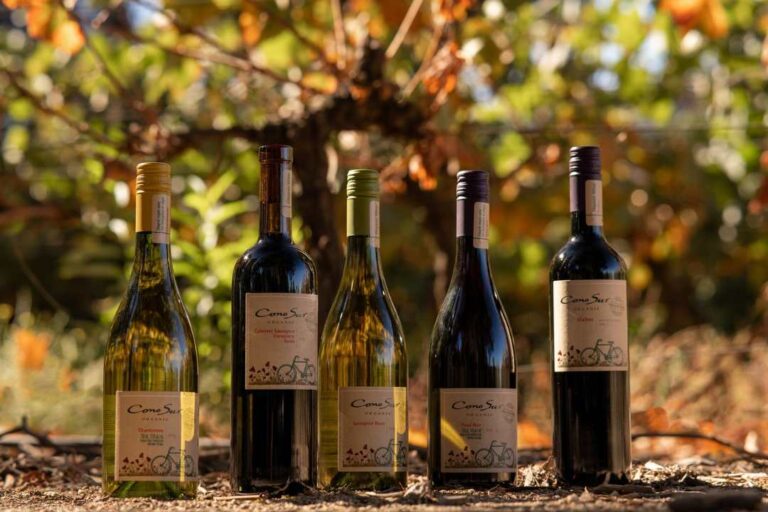 Viña Cono Sur fue seleccionada por undécima vez en el ranking Most Admired Wine Brands